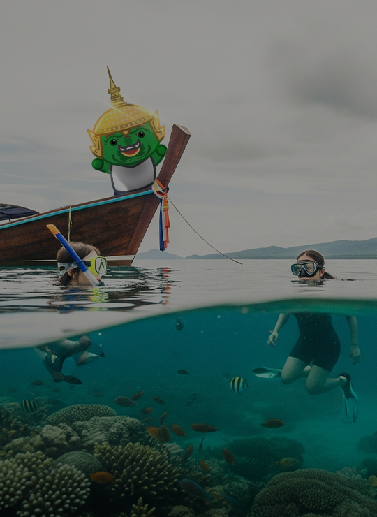 Snorkeling Tours